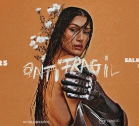 Antifragil