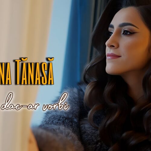 Diana Tanasa - Inima dac-ar vorbi [Versuri]