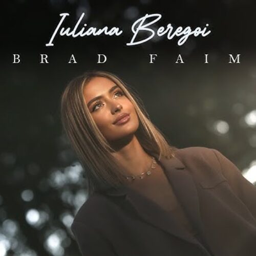 Iuliana Beregoi - O Brad Faimos [Versuri]