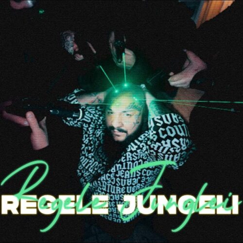 Dani Mocanu - Regele Junglei [Versuri]