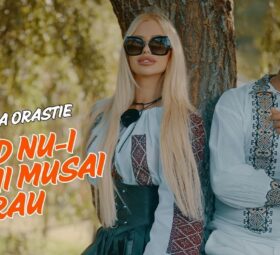 Alex de la Orăștie - Când nu i bine îi musai rău [Versuri]