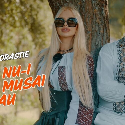 Alex de la Orăștie - Când nu i bine îi musai rău [Versuri]