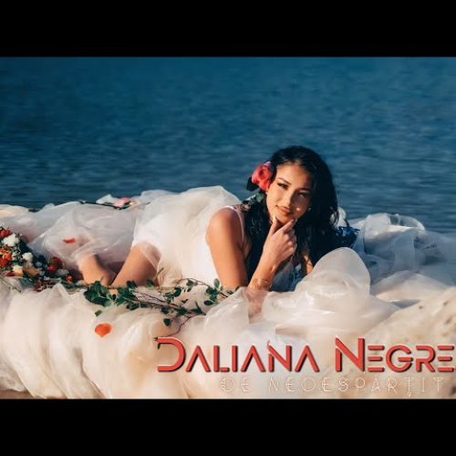 Daliana Negrean - De nedespărțit [Versuri]