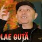 Nicolae Guță - Anii cu anii [Versuri]
