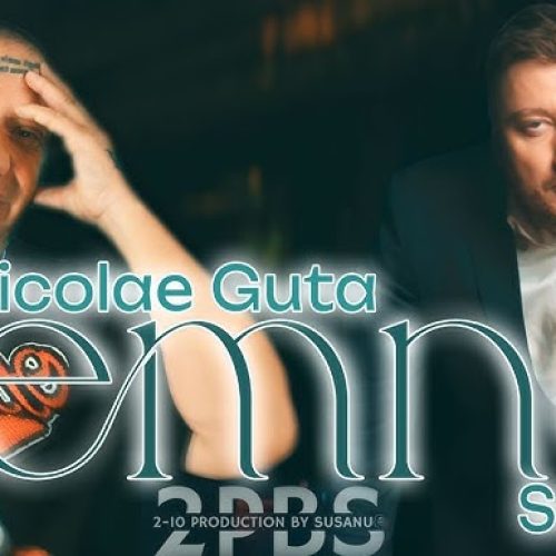 Nicolae Guță și Susanu - Semne [Versuri]