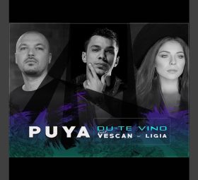 Puya x Vescan x Ligia - Du-te vino [Versuri]