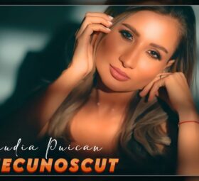 Claudia Puican - Un necunoscut [Versuri]
