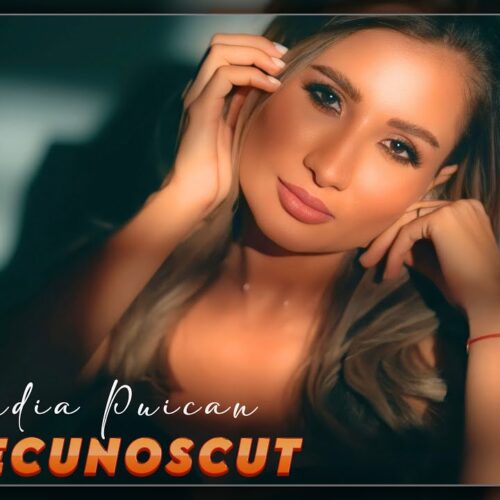 Claudia Puican - Un necunoscut [Versuri]
