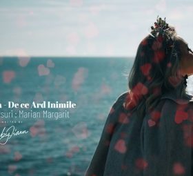 Mirela Vaida – De ce ard inimile [Versuri]