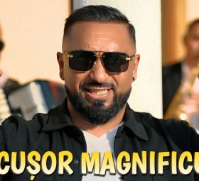 Nicușor Magnificul - Urmașul lui tata [Versuri]