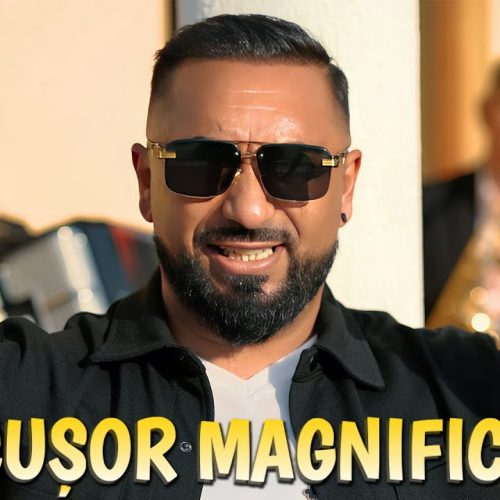 Nicușor Magnificul - Urmașul lui tata [Versuri]