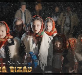 Selena Bizau - Flori Dalbe și Flori de măr [Versuri]