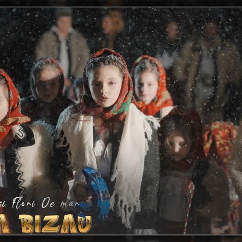 Selena Bizau - Flori Dalbe și Flori de măr [Versuri]