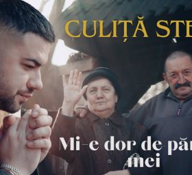 Culiță Sterp - Mi-e dor de părinții mei [Versuri]