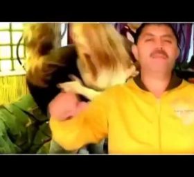 Nicolae Guță - Noi bem spargem pahare [Versuri]