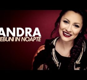 Andra - Nebuni în noapte [Versuri]