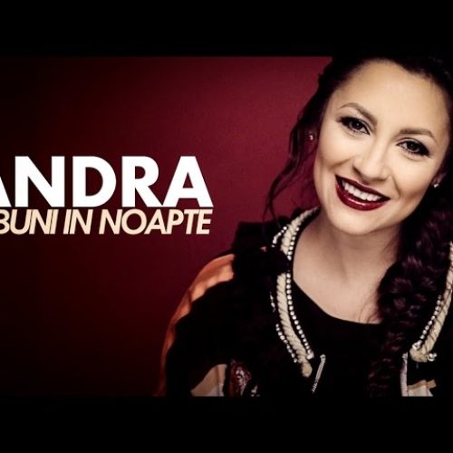 Andra - Nebuni în noapte [Versuri]