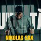 Nikolas Sax - Puiul tău [Versuri]