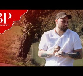 Bogdan Pîrvu - Hai du-te du-te [Versuri]