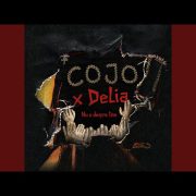 Cojo x Delia - Nu e despre tine [Versuri]