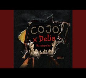 Cojo x Delia - Nu e despre tine [Versuri]