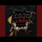 Cojo x Delia - Nu e despre tine [Versuri]