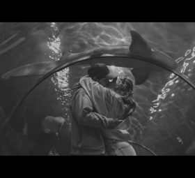 Rareș - O viață întreagă cu tine [Versuri]